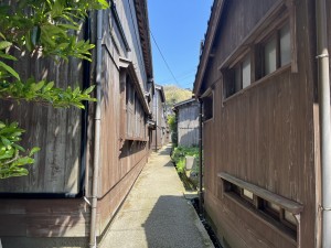 IMG_0147