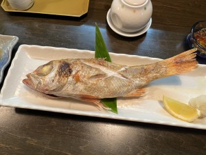 IMG_0518