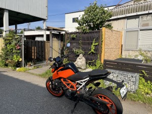 IMG_0524