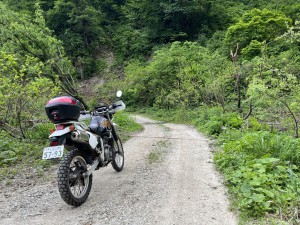 IMG_0532