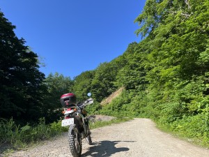 IMG_0585