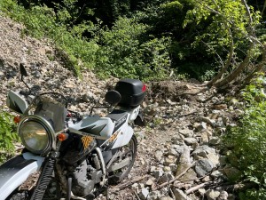 IMG_0595