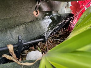 IMG_0619