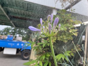 IMG_0620