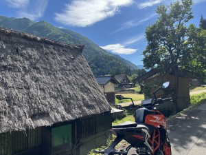 IMG_0725