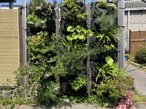 IMG_0807