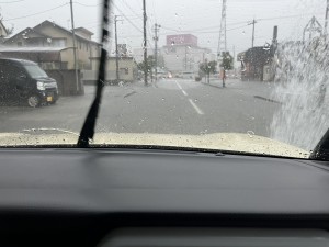 IMG_0819