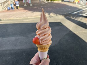 IMG_0877