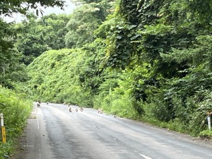 IMG_0891