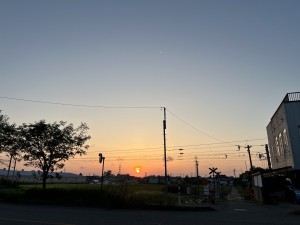 IMG_0946