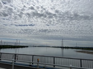 IMG_1214