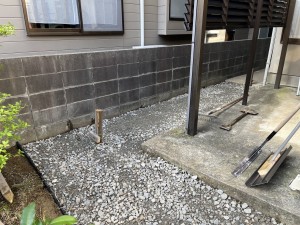 IMG_1390