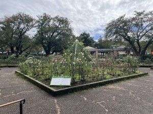 IMG_1423