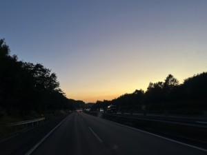 IMG_1441