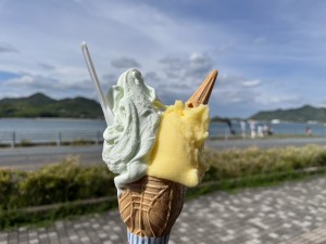 IMG_3208
