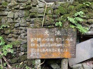 IMG_3469