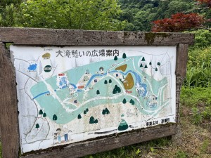 IMG_3475