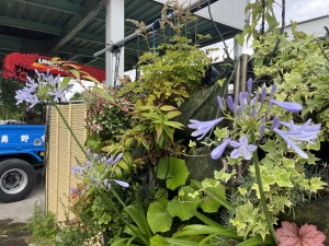 IMG_3571
