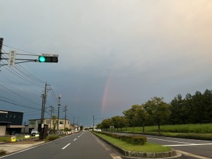 IMG_3818