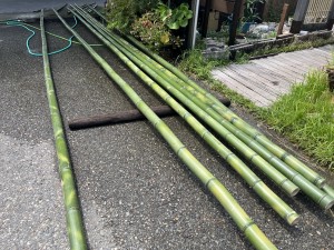 IMG_3882