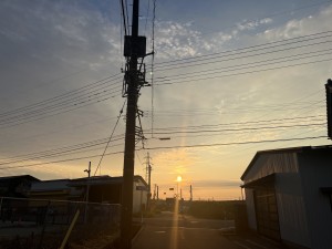 IMG_3891