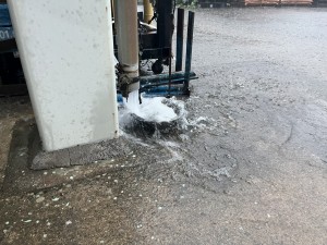 IMG_3912