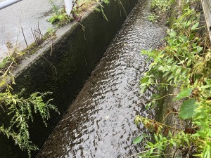 IMG_3916