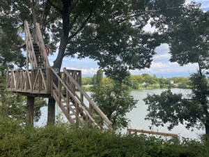 IMG_3984
