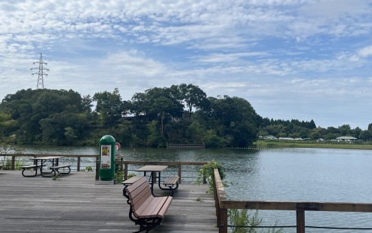 IMG_3985