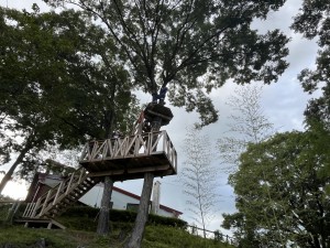 IMG_3990