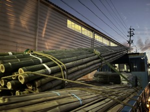 IMG_4292