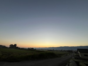 IMG_4370