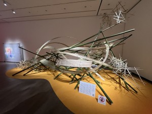 IMG_4379
