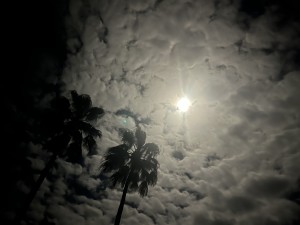 IMG_4446