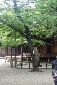 yasukuni1