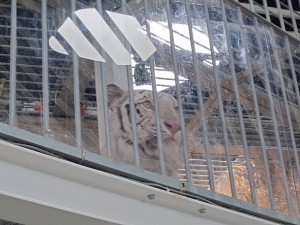IMG_5489