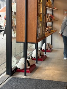 IMG_5524