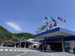 IMG_4787