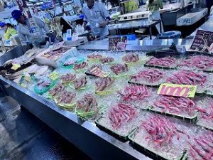 IMG_4791