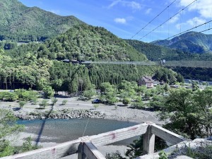 IMG_5503
