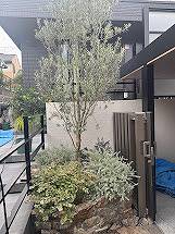 IMG_7576