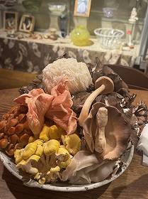IMG_8242 (1)