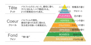 香りのピラミッド説明