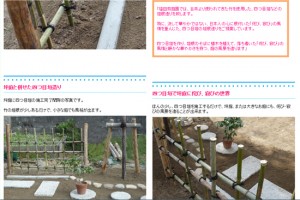 広島県で剪定、造園工事ホームページ