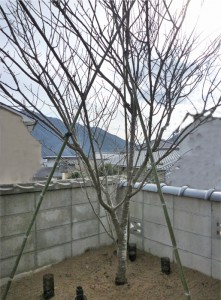 植栽広島造園井口