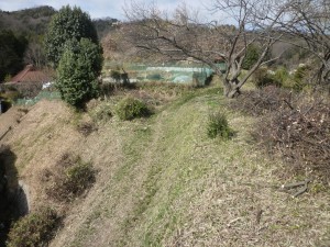 広島県草刈り塩田剪庭園