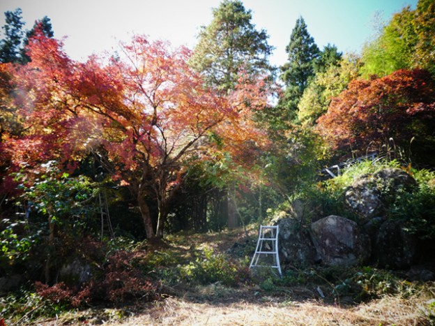 紅葉　北広島町