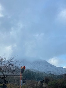 広島市　安佐南区　沼田町　雪景色