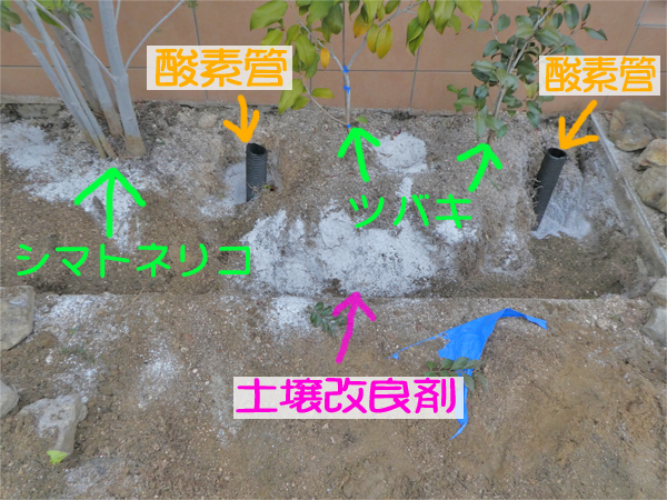 土壌改良　通気性改善　樹木治療　広島市南区