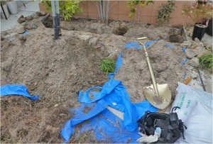 広島市　西区　樹木治療　土壌改良